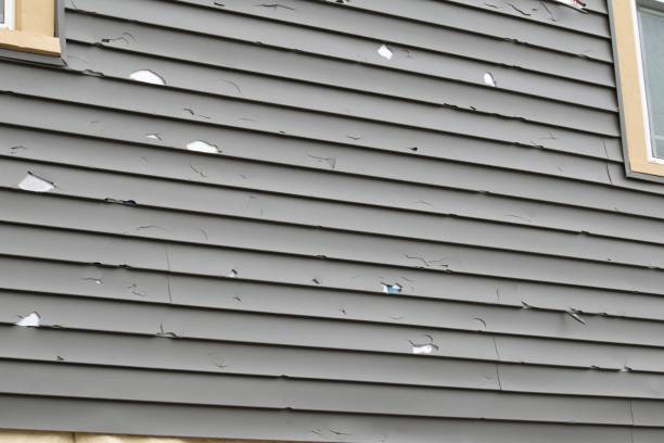 Affordable siding repair and maintenance services in Bath, MI